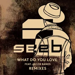 What Do You Love Remixes