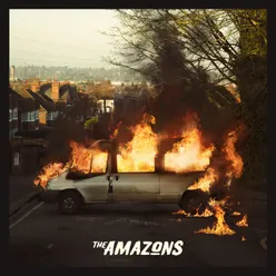 The Amazons Deluxe