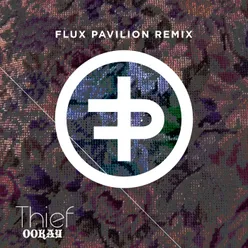 Thief Flux Pavilion Remix