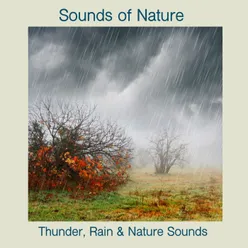 Thunder And Hard Rain