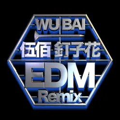 Ding Zi Hua EDM Remix