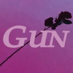 Gun