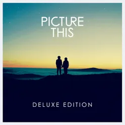 Picture This Deluxe