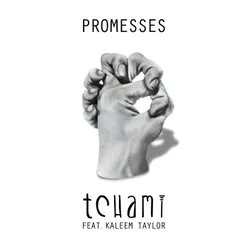 Promesses-Calyx & Teebee Remix