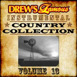 Drew's Famous Instrumental Country Collection Vol. 13