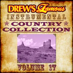 Drew's Famous Instrumental Country Collection Vol. 17