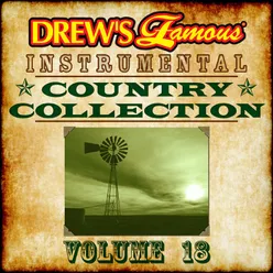 Drew's Famous Instrumental Country Collection Vol. 18