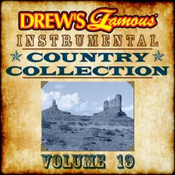 Drew's Famous Instrumental Country Collection Vol. 19