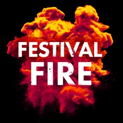 Festival Fire