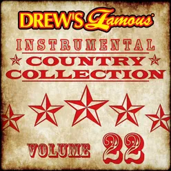 Drew's Famous Instrumental Country Collection Vol. 22