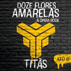 Doze Flores Amarelas