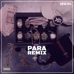 PARA Remix