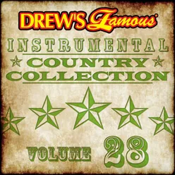 Drew's Famous Instrumental Country Collection Vol. 28