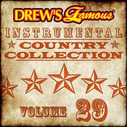 Drew's Famous Instrumental Country Collection Vol. 29