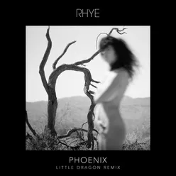 Phoenix-Little Dragon Remix