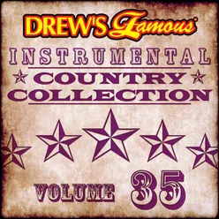 Drew's Famous Instrumental Country Collection Vol. 35