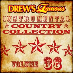 Drew's Famous Instrumental Country Collection Vol. 36