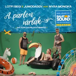 A Parton Várlak Balaton Sound Himnusz / 2018