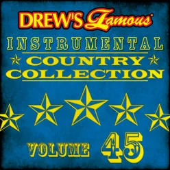 Drew's Famous Instrumental Country Collection Vol. 45