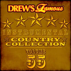 Drew's Famous Instrumental Country Collection Vol. 55