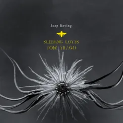 Sleeping Lotus-Tom Trago’s Sixtine Remix