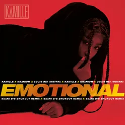 Emotional-Seani B’s BrukOut Remix