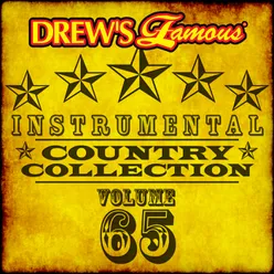 Drew's Famous Instrumental Country Collection Vol. 65