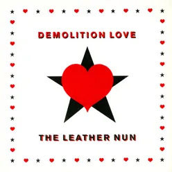 Demolition Love