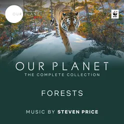 Forests Episode 8 / Soundtrack From The Netflix Original Series "Our Planet"