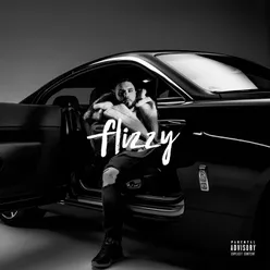 Flizzy Premium Edition