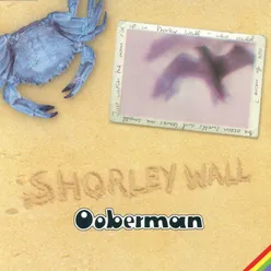 Shorley Wall