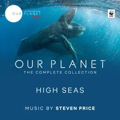 High Seas Episode 6 / Soundtrack From The Netflix Original Series "Our Planet"