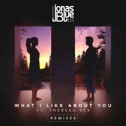 What I Like About You Remixes