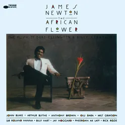 The African Flower (The Music Of Duke Ellington & Billy Strayhorn)