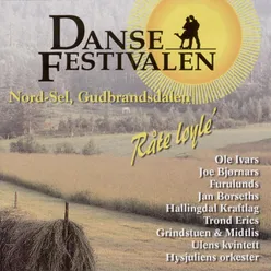 Dansefestivalen Nord-Sel, Gudbrandsdalen 2002 - Råte løyle'