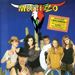 Mestizzo