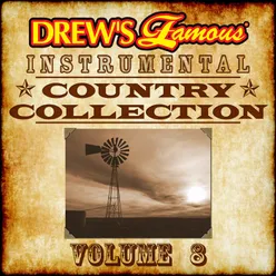 Drew's Famous Instrumental Country Collection, Vol. 8