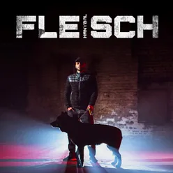 Fleisch