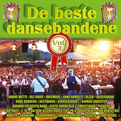 De beste dansebandene Vol. 3