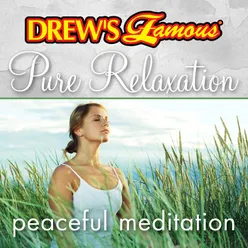 Drew's Famous Pure Relaxation: Peaceful Meditation