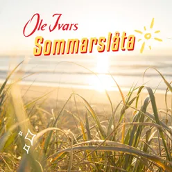 Sommarslåta