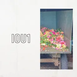 IOU 1