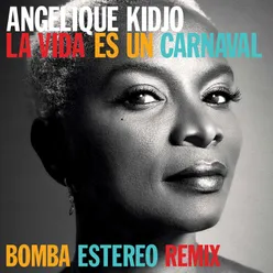 La Vida Es Un Carnaval-Bomba Estereo Remix