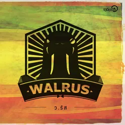 Walrus