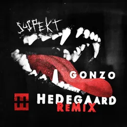 Gonzo-HEDEGAARD Remix