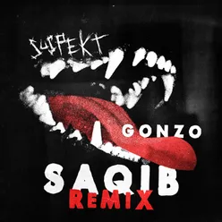 Gonzo-Saqib Remix