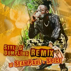 Dumpling-Remix