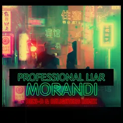 Professional Liar-Beni-B & Delighters Remix