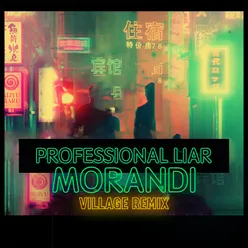 Professional Liar-Village Remix