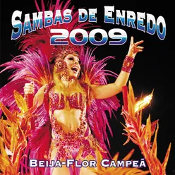 Sambas De Enredo Das Escolas De Samba - Carnaval 2009